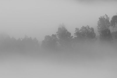 mist