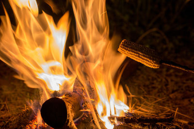 Close-up of corn in bonfire at night