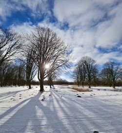 Bare trees on snowy field against sky during winter