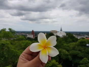 Midsection of person holding flowering plant against sky