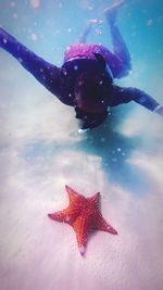 Close-up of a turtle in sea