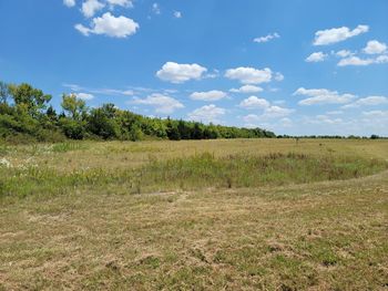 Scenic view of field against sky