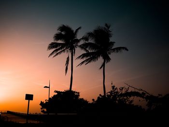 Silhouette palm trees against sky at dusk