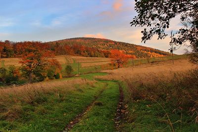 Scenic view of field against sky during sunset