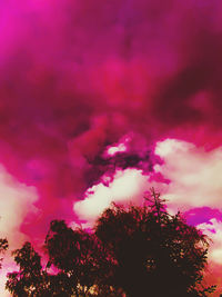 Low angle view of silhouette trees against sky at sunset