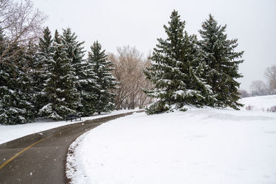 Snow covered road by trees against sky