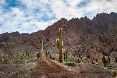 Panoramic view of rocky mountains against sky