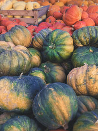 Full frame shot of pumpkins at market stall