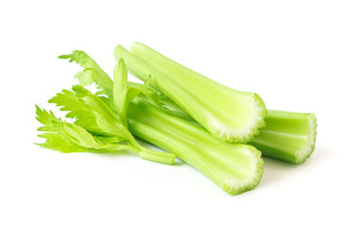 Close-up of green leaf over white background