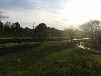 Scenic view of grassy field against sky