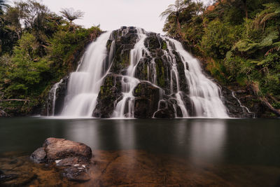 Scenic view of waterfall in forest