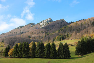 Beautiful alpine panorama with the high mountain 