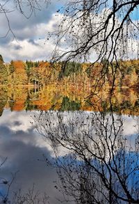 Reflection of bare trees in river against sky