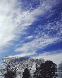 Low angle view of bare trees against cloudy sky