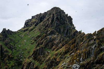 Low angle view of bird flying over rocks