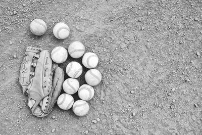 High angle view of shell on sand