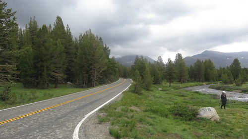 Empty road along trees and plants against sky