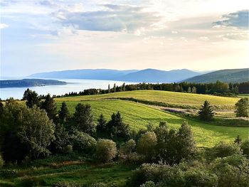 landscape