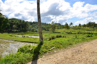 Scenic view of grassy field against cloudy sky