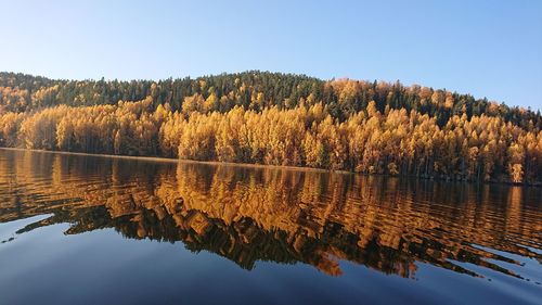 Scenic view of lake against clear sky during autumn