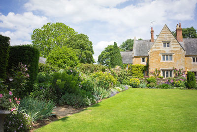 Trees and plants growing in lawn outside house