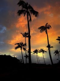 Silhouette of palm trees at sunset