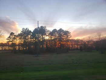 Trees on field against sky during sunset