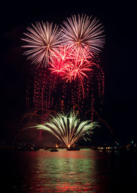 Firework display at night