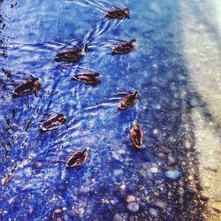 High angle view of lake