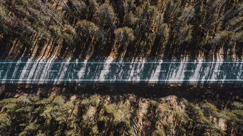 Aerial view of road amidst trees in forest