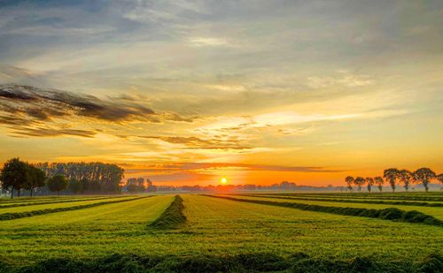 Scenic view of field against sky during sunset