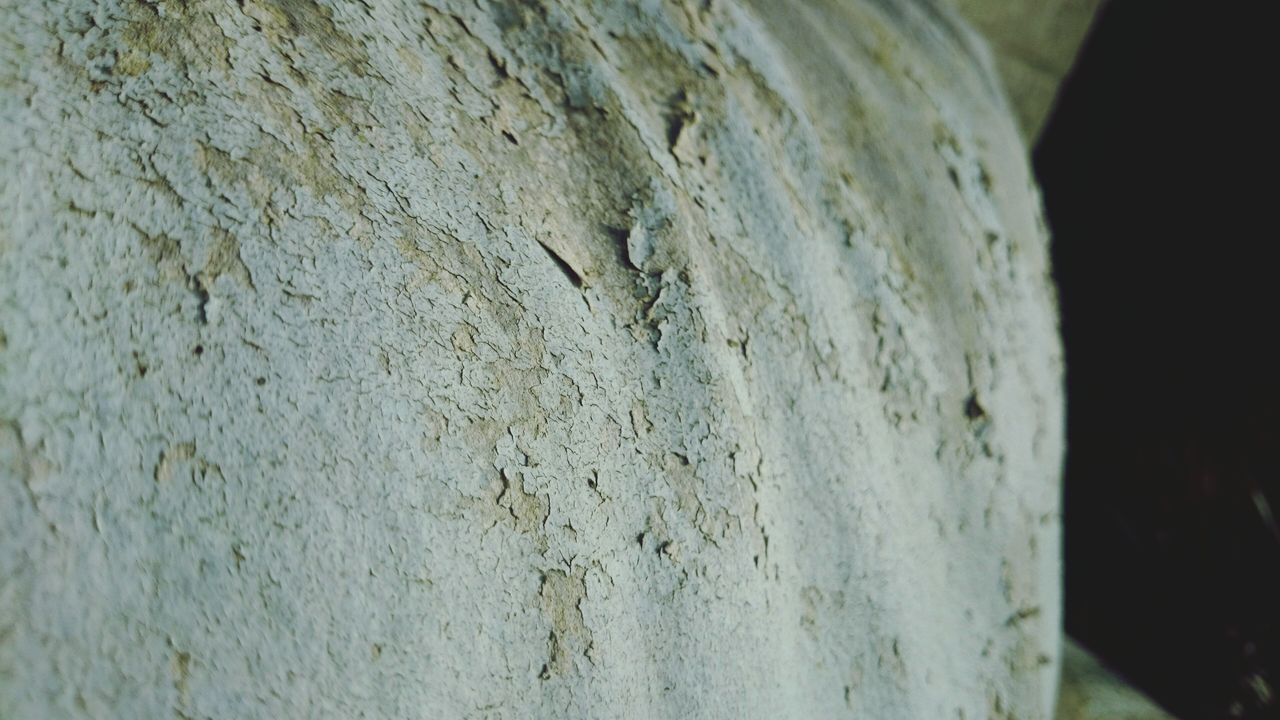 textured, weathered, close-up, wall - building feature, old, rough, damaged, indoors, no people, day, deterioration, abandoned, wall, rock - object, run-down, full frame, backgrounds, nature, built structure