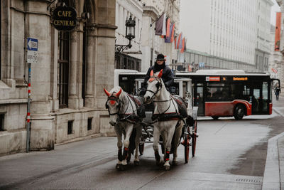 People riding horse on street in city