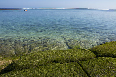 Scenic view of sea against clear sky
