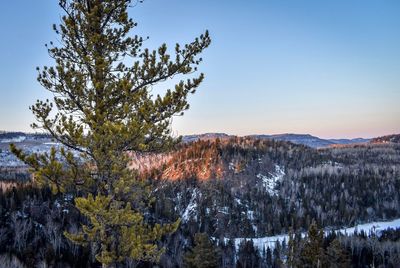 Scenic view of snow covered land against sky