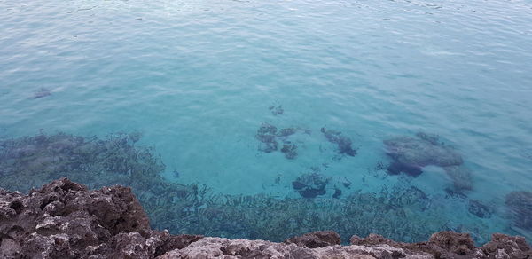 High angle view of rocks in sea