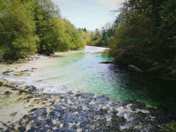 Stream amidst trees in forest against sky