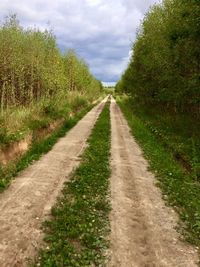 Road amidst green landscape against sky