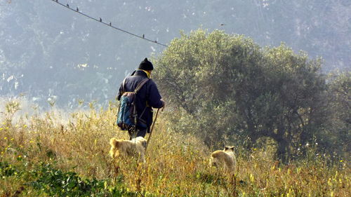 Rear view of man with dogs walking in field on sunny day
