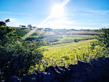 Scenic view of landscape against sky