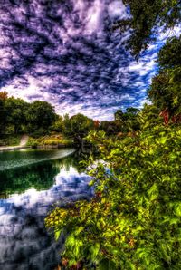 Scenic view of lake amidst trees against sky