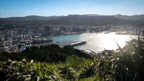 View on wellington from mountain lookout,shot from mount victoria, wellington, new zealand