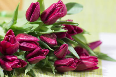 Close-up of pink flowers on table