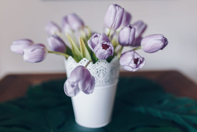 Close-up of purple flowers in vase