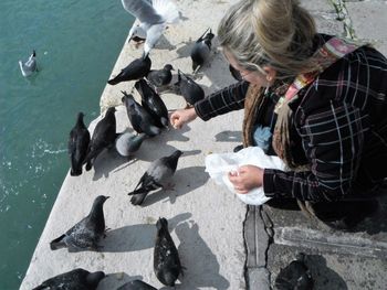 High angle view of woman feeding birds by sea