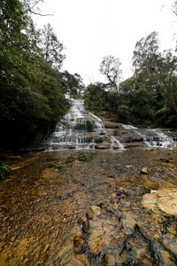 Stream flowing through rocks in forest against sky