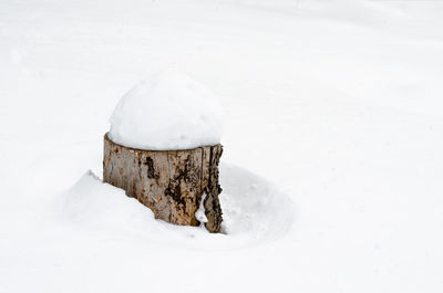 Close-up of snow covered land