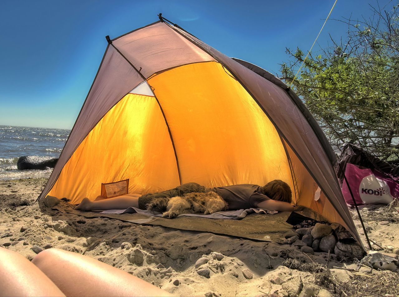 yellow, sunlight, sky, beach, built structure, transportation, clear sky, nature, architecture, orange color, outdoors, tree, sand, day, travel, blue, water, building exterior, sea, tranquility