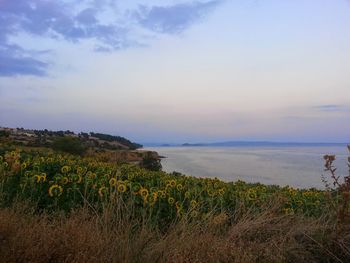 Scenic view of sea against sky during sunset