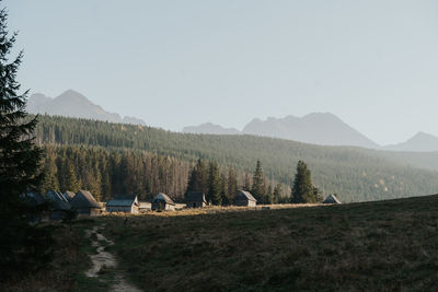 Scenic view of field against clear sky